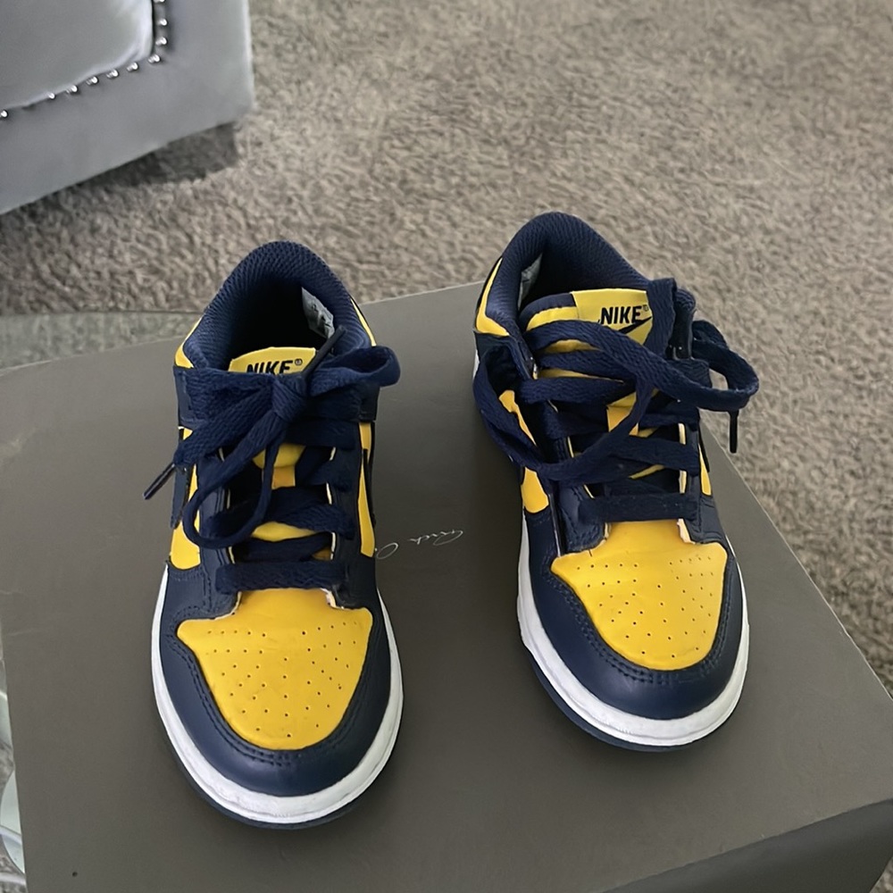Nike dunks for kids size 12 good condition